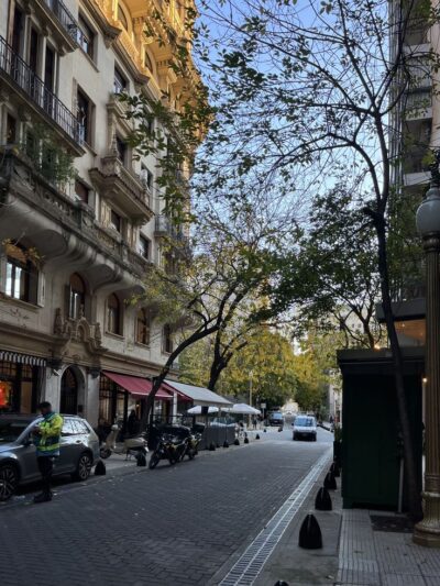 VINELLI INMOBILIARIA